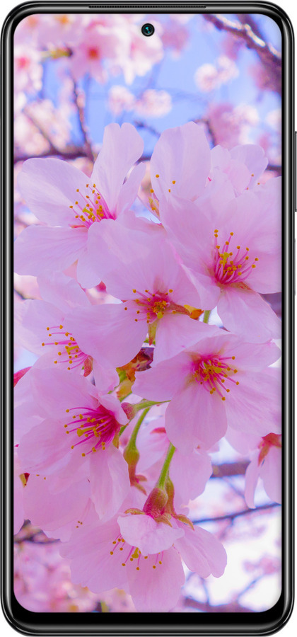 Силиконовый чехол Сакура для Xiaomi Redmi Note 10 - 6029u-2277 изображение 