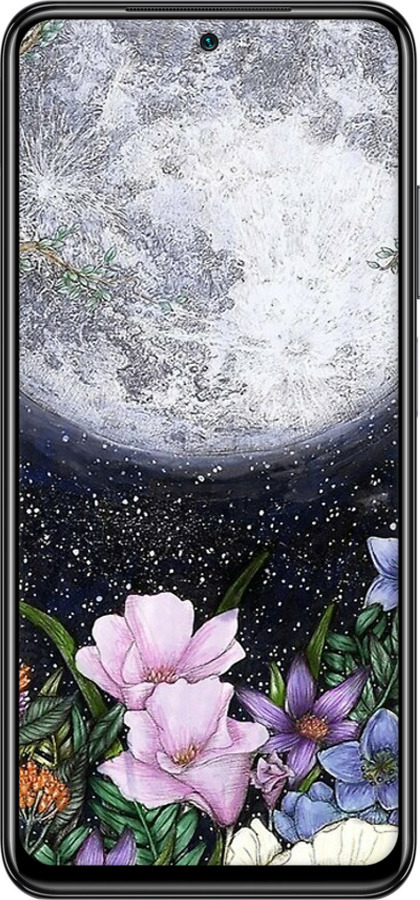 Силиконовый чехол Полночь в саду для Xiaomi Redmi Note 10 - 6259u-2277 изображение 