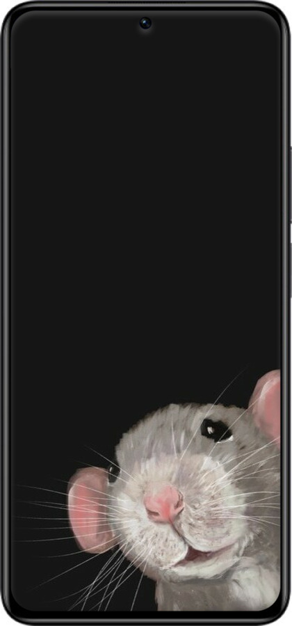 Силиконовый чехол The Peeking Rat для Xiaomi Redmi Note 12 Pro - 6442u-3019 изображение 