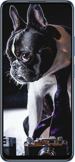 TPU чехол Бульдог-фотограф для Xiaomi Redmi Note 11S 5G - 142b-2890 изображение 