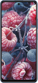 TPU чехол Морозні ягоди для Xiaomi Redmi Note 11S 5G - 6033b-2890 изображение 