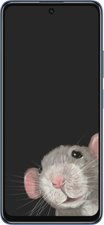TPU чехол The Peeking Rat для Xiaomi Redmi Note 11T 5G - 6442b-3850 изображение 