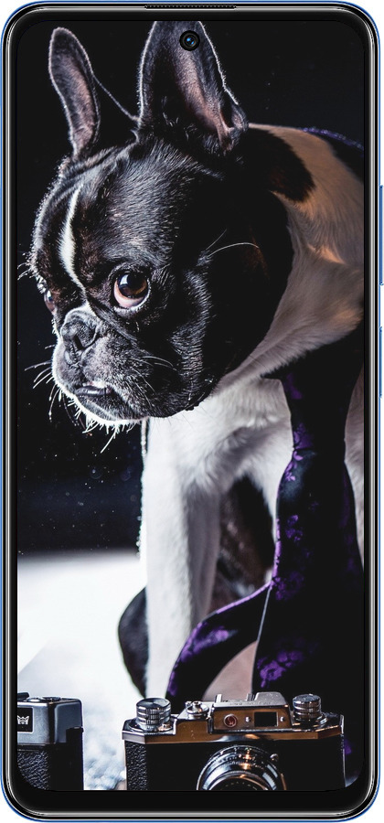 TPU чехол Бульдог-фотограф для Xiaomi Redmi Note 11S 5G - 142b-2890 изображение 