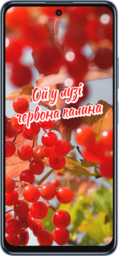 TPU чехол Калина для Xiaomi Redmi Note 11 5G - 5454b-3849 изображение 