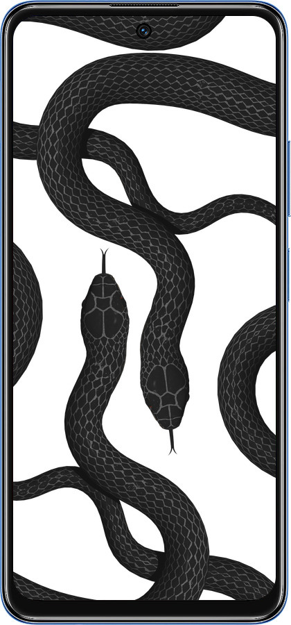 TPU чехол Змеи для Xiaomi Redmi Note 11S 5G - 5473b-2890 изображение 