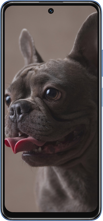 TPU чехол Милый бульдог для Xiaomi Redmi Note 11T 5G - 5546b-3850 изображение 