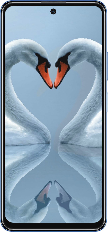 TPU чехол Лебеди для Xiaomi Redmi Note 11S 5G - 6007b-2890 изображение 