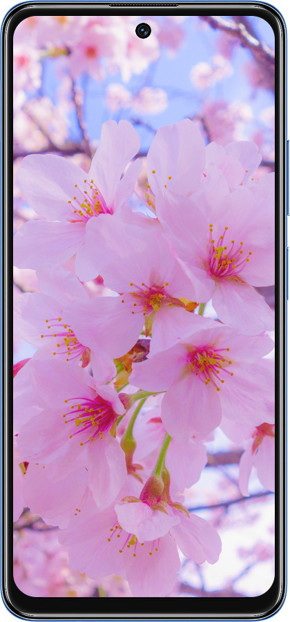 TPU чехол Сакура для Xiaomi Redmi Note 11S 5G - 6029b-2890 изображение 