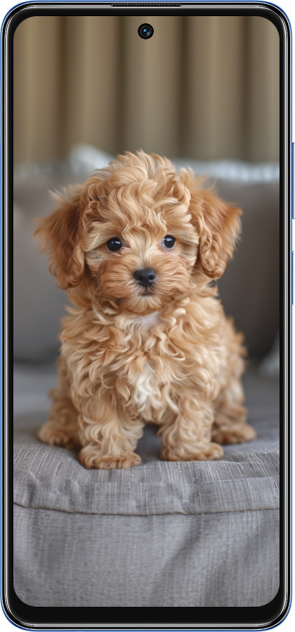 TPU чехол Mini-maltipoo для Xiaomi Redmi Note 11S 5G - 6158b-2890 изображение 