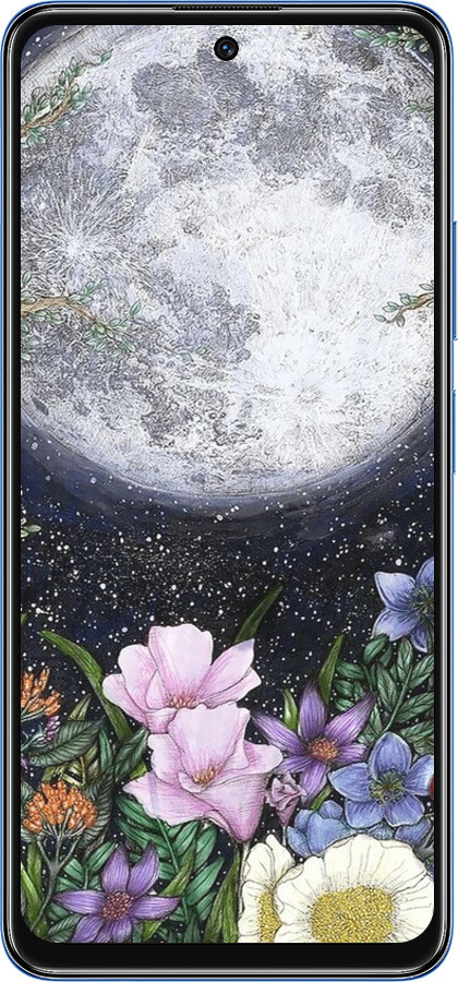 TPU чехол Полночь в саду II для Xiaomi Redmi Note 11S 5G - 6424b-2890 изображение 