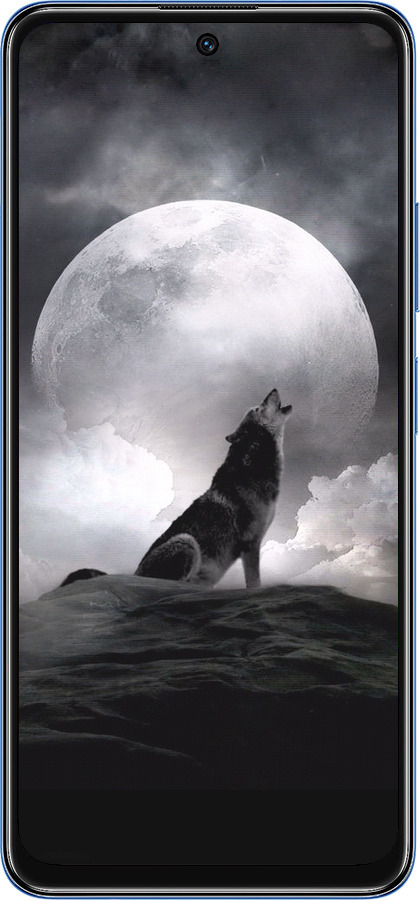 TPU чехол Воющий волк для Xiaomi Redmi Note 11 5G - 934b-3849 изображение 