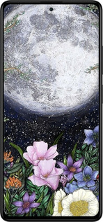 Силіконовий чехол Північ у саду II для Xiaomi Redmi Note 12 Pro 5G - 6424u-2932 изображение 