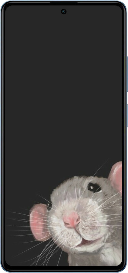 Силіконовий чехол The Peeking Rat для Xiaomi Redmi Note 12 Pro+ 5G - 6442u-3612 изображение 