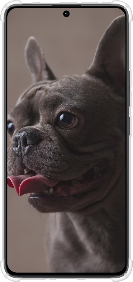 Силіконовий протиударний с посиленими кутами чехол Милий бульдог для Xiaomi Redmi Note 13 Pro 4G - 5546sp-3653 изображение 