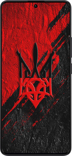 TPU чехол Герб v4 для Xiaomi Redmi Note 13 Pro Plus 5g - 5293b-3400 изображение 