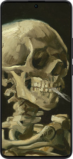 TPU чехол Вінсент Ван Гог. Череп для Xiaomi Redmi Note 13 Pro Plus 5g - 5544b-3400 изображение 