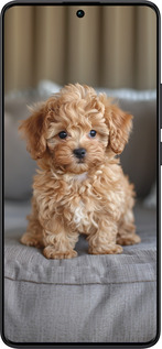 TPU чехол Mini-maltipoo для Xiaomi Redmi Note 13 Pro Plus 5g - 6158b-3400 изображение 