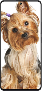 TPU чехол Йоркширский терьер с хвостиком для Xiaomi Redmi Note 13 Pro Plus 5g - 930b-3400 изображение 