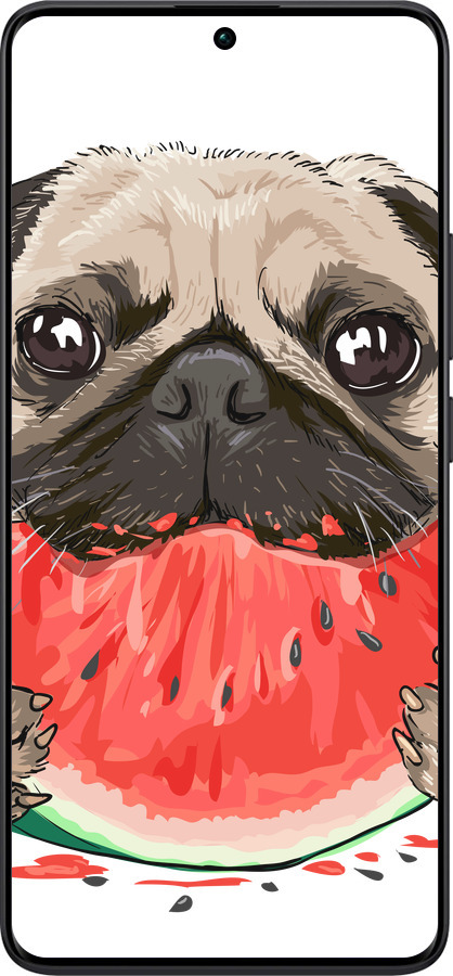 TPU чехол Мопс и арбуз для Xiaomi Redmi Note 13 Pro Plus 5g - 4665b-3400 изображение 