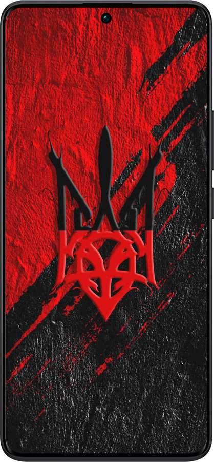 TPU чехол Герб v4 для Xiaomi Redmi Note 13 Pro Plus 5g - 5293b-3400 изображение 