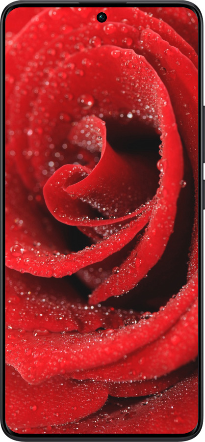 TPU чехол Красная роза для Xiaomi Redmi Note 13 Pro Plus 5g - 529b-3400 изображение 