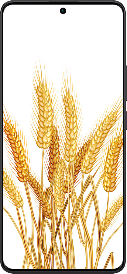 TPU чехол Колоски пшеници для Xiaomi Redmi Note 13 Pro Plus 5g - 5866b-3400 изображение 