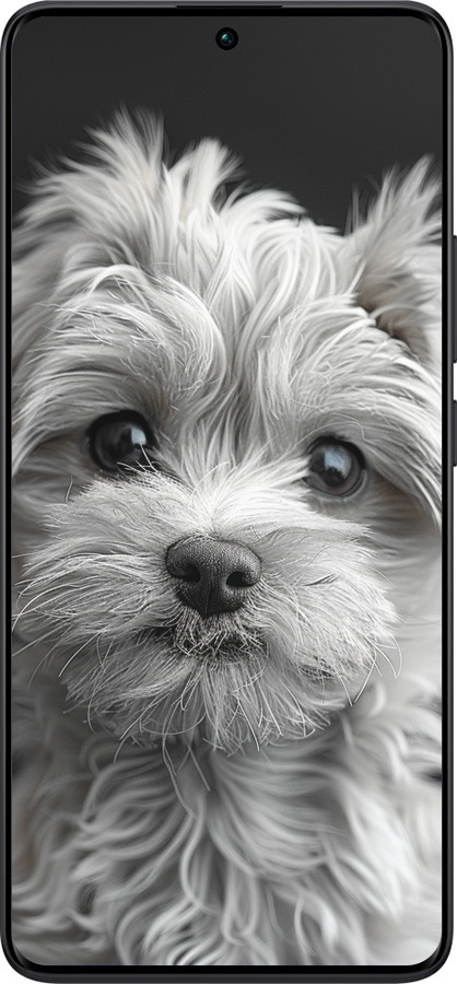 TPU чехол Мальтипу на чорном фоне для Xiaomi Redmi Note 13 Pro Plus 5g - 6156b-3400 изображение 