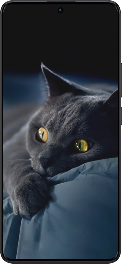 TPU чехол Дымчатый кот для Xiaomi Redmi Note 13 Pro Plus 5g - 825b-3400 изображение 