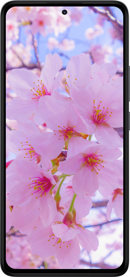 TPU чехол Сакура для Xiaomi Redmi Note 14 4G - 6029b-3903 изображение 