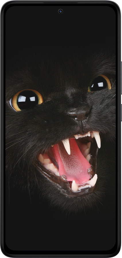 TPU чехол Чёрная кошка для Xiaomi Redmi Note 14 4G - 932b-3903 изображение 