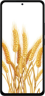 Силиконовый чехол Колоски пшеници для Xiaomi Redmi Note 14 4G - 5866u-3903 изображение 