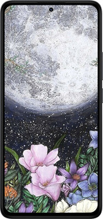 Силиконовый чехол Полночь в саду для Xiaomi Redmi Note 14 4G - 6259u-3903 изображение 