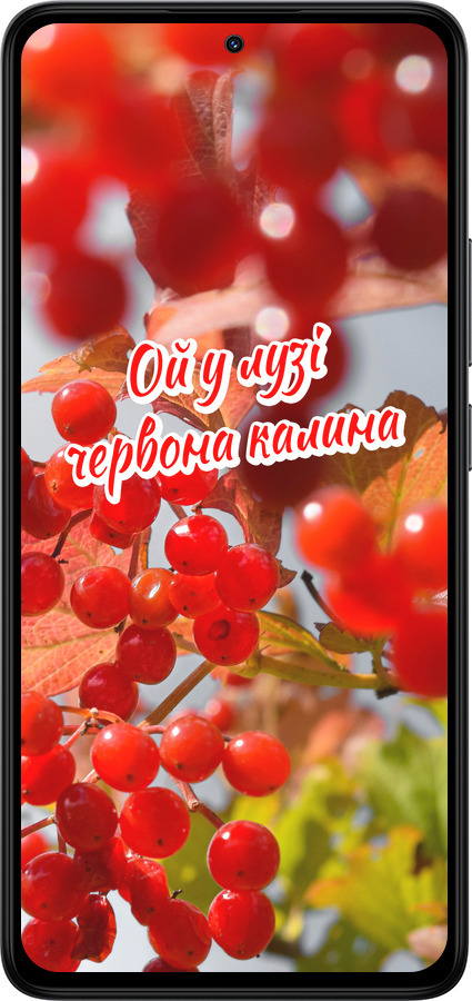 Силиконовый чехол Калина для Xiaomi Redmi Note 14 4G - 5454u-3903 изображение 