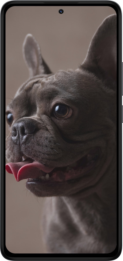 Силиконовый чехол Милый бульдог для Xiaomi Redmi Note 14 4G - 5546u-3903 изображение 