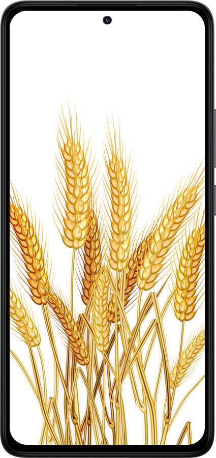 Силиконовый чехол Колоски пшеници для Xiaomi Redmi Note 14 4G - 5866u-3903 изображение 
