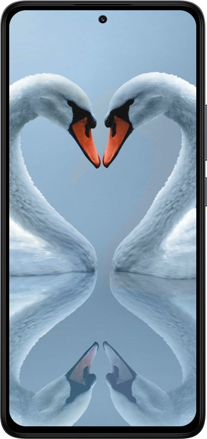 Силиконовый чехол Лебеди для Xiaomi Redmi Note 14 4G - 6007u-3903 изображение 
