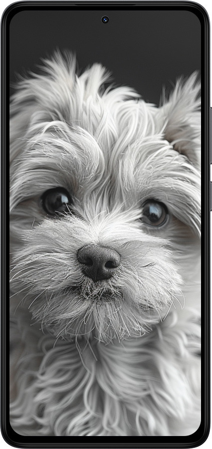 Силиконовый чехол Мальтипу на чорном фоне для Xiaomi Redmi Note 14 4G - 6156u-3903 изображение 