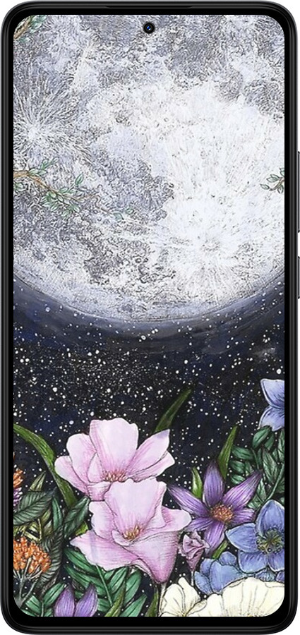 Силиконовый чехол Полночь в саду для Xiaomi Redmi Note 14 4G - 6259u-3903 изображение 