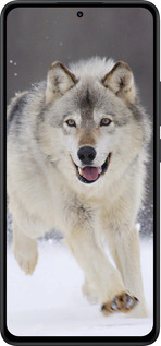 Силиконовый чехол Бегущий волк для Xiaomi Redmi Note 14 5G - 826u-3811 изображение 