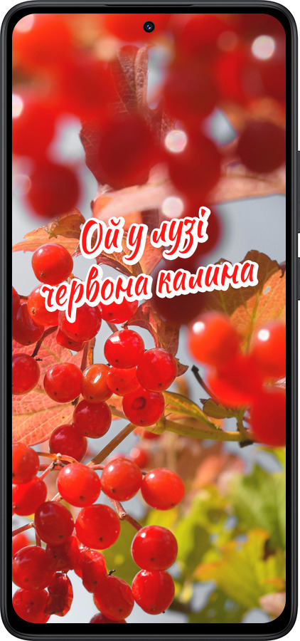 Силиконовый чехол Калина для Xiaomi Redmi Note 14 5G - 5454u-3811 изображение 