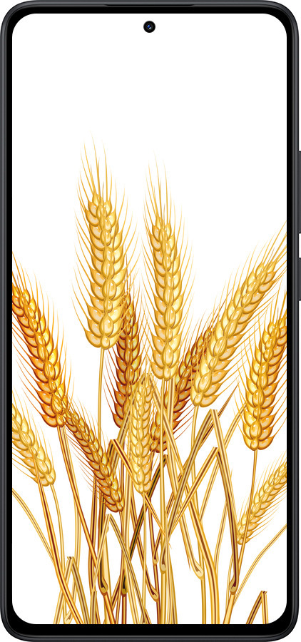 Силиконовый чехол Колоски пшеници для Xiaomi Redmi Note 14 5G - 5866u-3811 изображение 