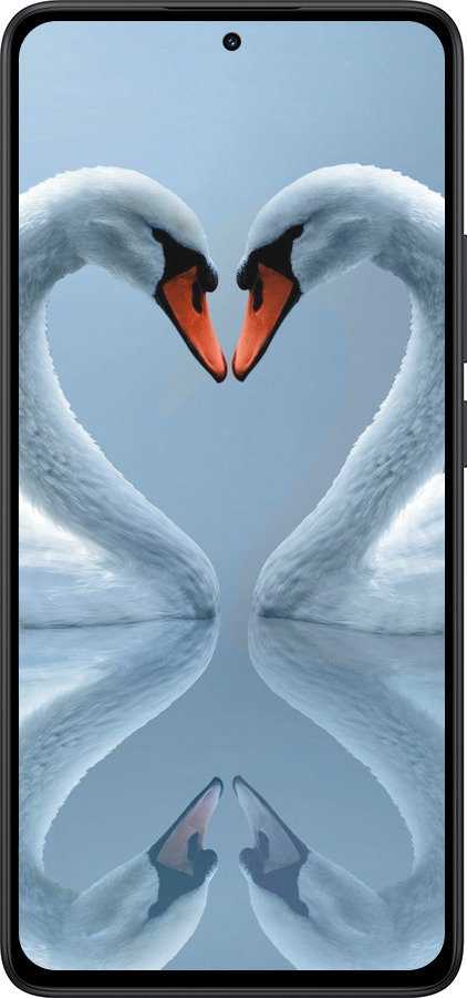 Силиконовый чехол Лебеди для Xiaomi Redmi Note 14 5G - 6007u-3811 изображение 