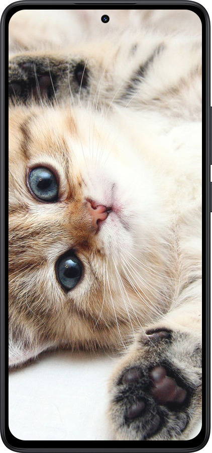 Силиконовый чехол Котик для Xiaomi Redmi Note 14 5G - 6024u-3811 изображение 