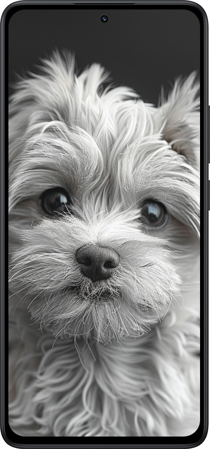 Силиконовый чехол Мальтипу на чорном фоне для Xiaomi Redmi Note 14 5G - 6156u-3811 изображение 
