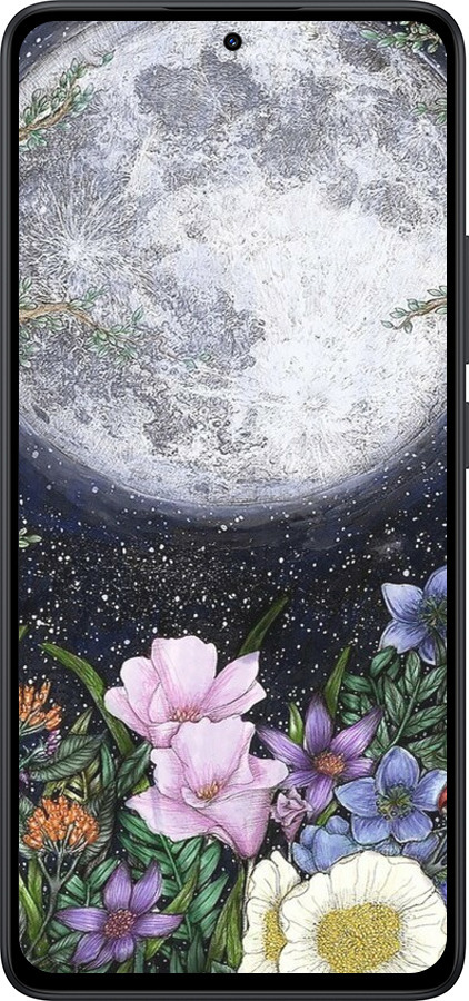 Силиконовый чехол Полночь в саду II для Xiaomi Redmi Note 14 5G - 6424u-3811 изображение 