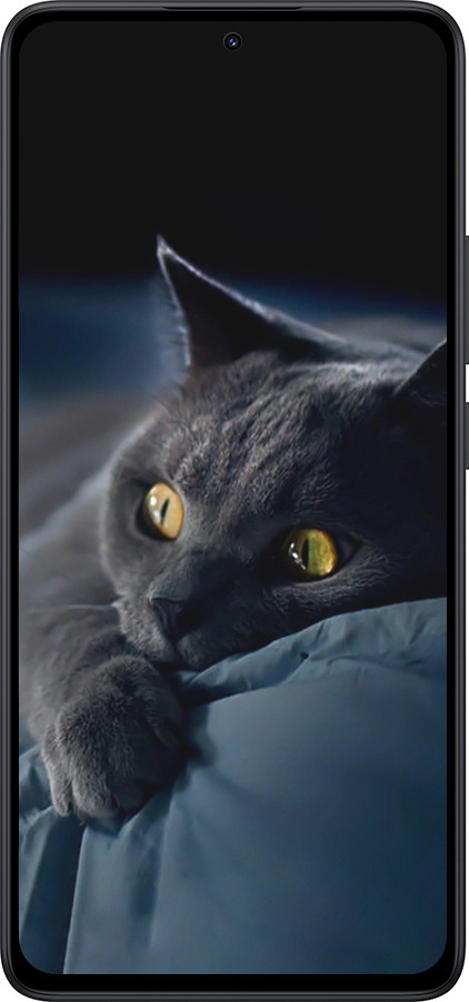Силиконовый чехол Дымчатый кот для Xiaomi Redmi Note 14 5G - 825u-3811 изображение 