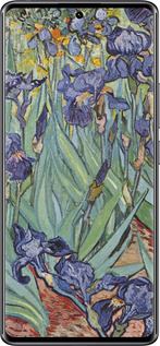 TPU чехол Винсент Ван Гог. Ирисы для Xiaomi Redmi Note 14 Pro 4G - 161b-3808 изображение 