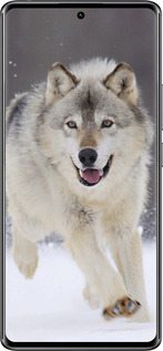 TPU чехол Бегущий волк для Xiaomi Redmi Note 14 Pro 4G - 826b-3808 изображение 