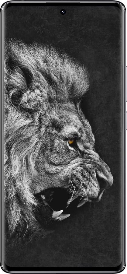 TPU чехол Лев для Xiaomi Redmi Note 14 Pro 4G - 1080b-3808 изображение 