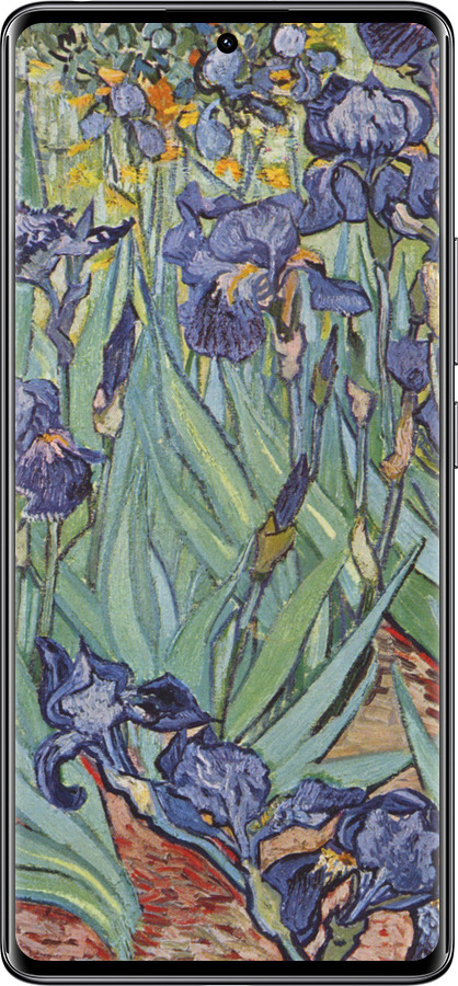 TPU чехол Винсент Ван Гог. Ирисы для Xiaomi Redmi Note 14 Pro 4G - 161b-3808 изображение 